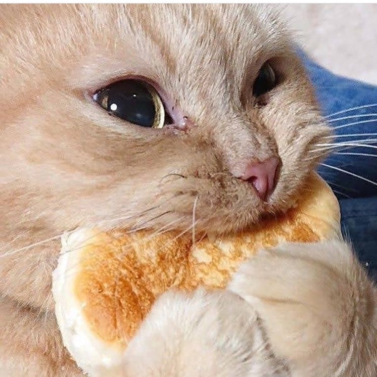 Me stuffing my face with food 10 mins after I make my New Years