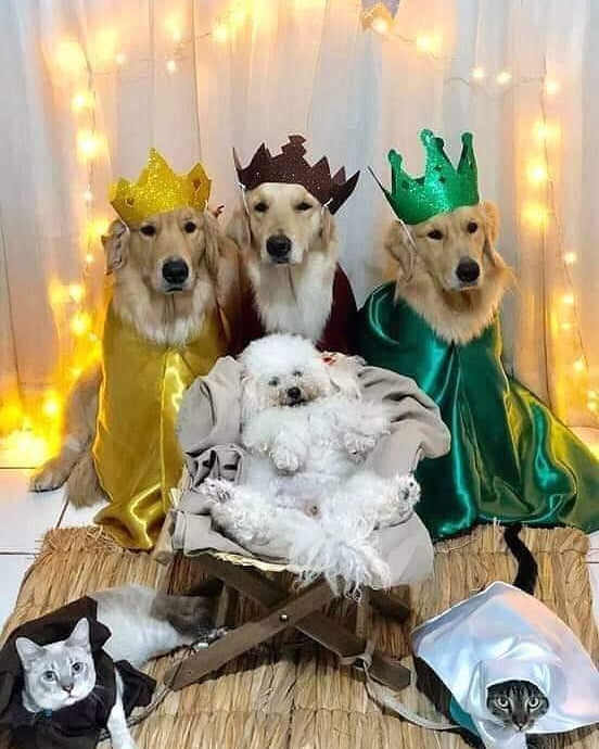 Mis Magos Preferidos