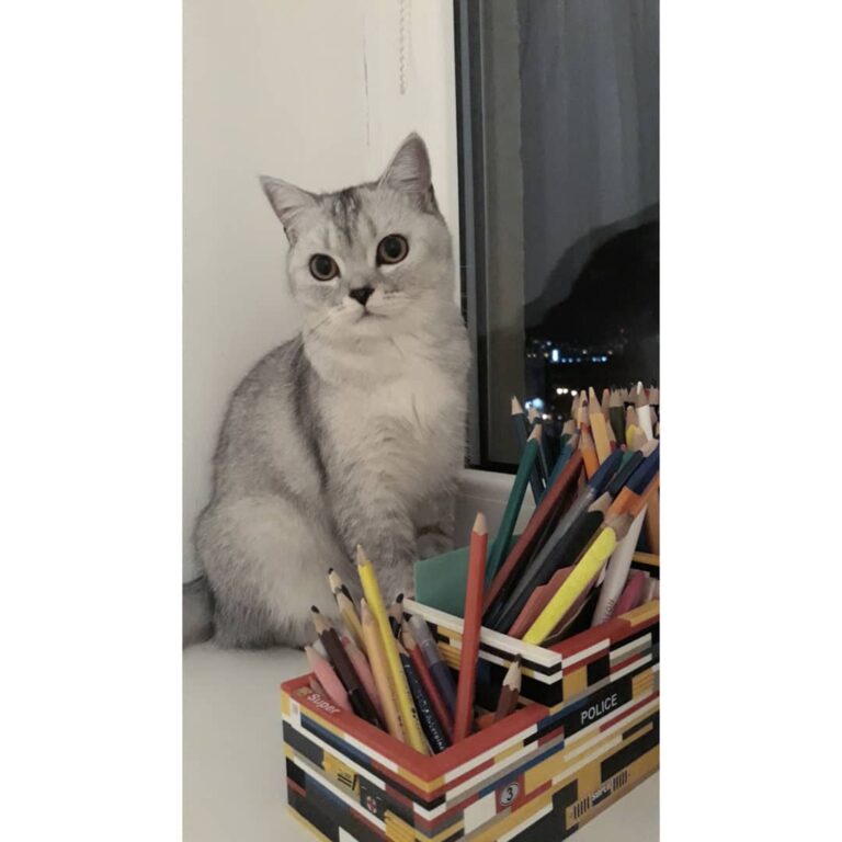 Mom, can I draw?