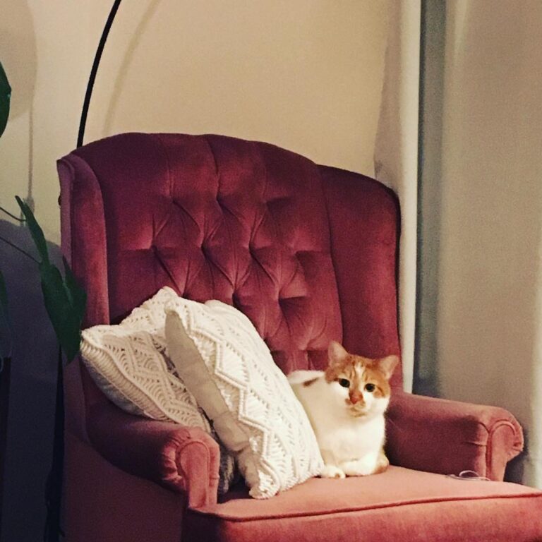 Mon bébé!