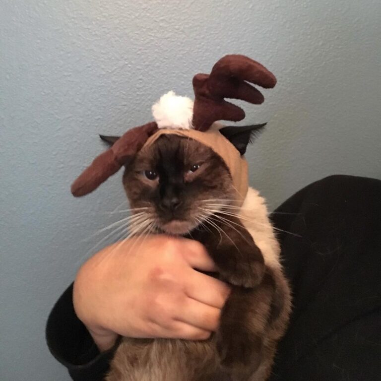 Mood after the holidays