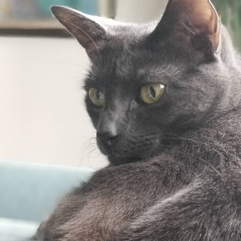 Mr. Grey is enjoying a grey day in NYC . . . . . . . . . .