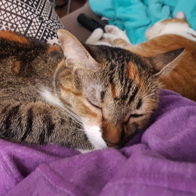 Mummy lives and breathes for these moments. . .
