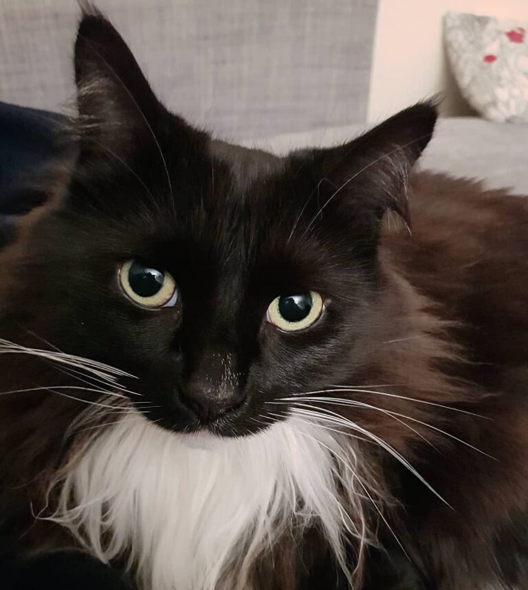 My boy Those nose hairs . . . . .
