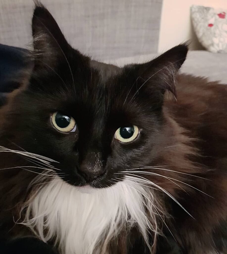 My boy Those nose hairs . . . . .