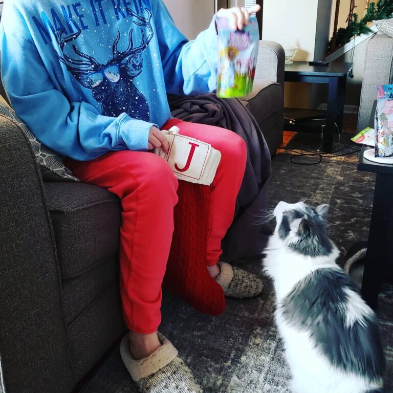 My cat enjoyed her Christmas stocking a lot this year. Especially