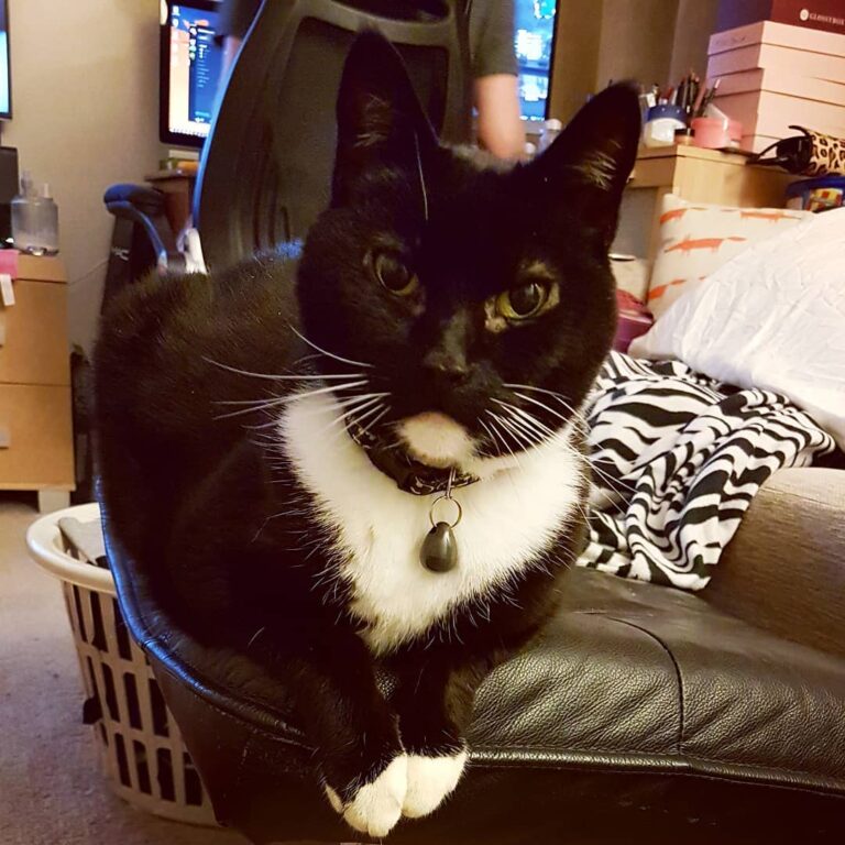 Oh hai mum, I see you’ve got some dinner there… you know who else