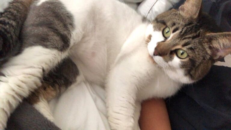 Oh hey there