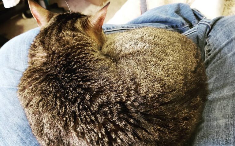 Oh, okay, I guess I didn’t want to do anything that I had planned