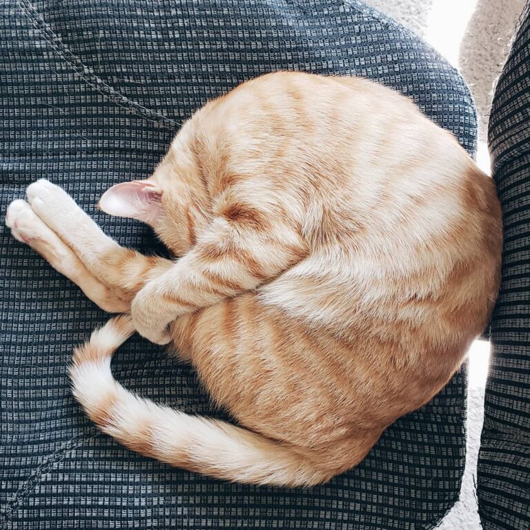 Oliver looks like he’s going for a perfect 10 off the high dive.