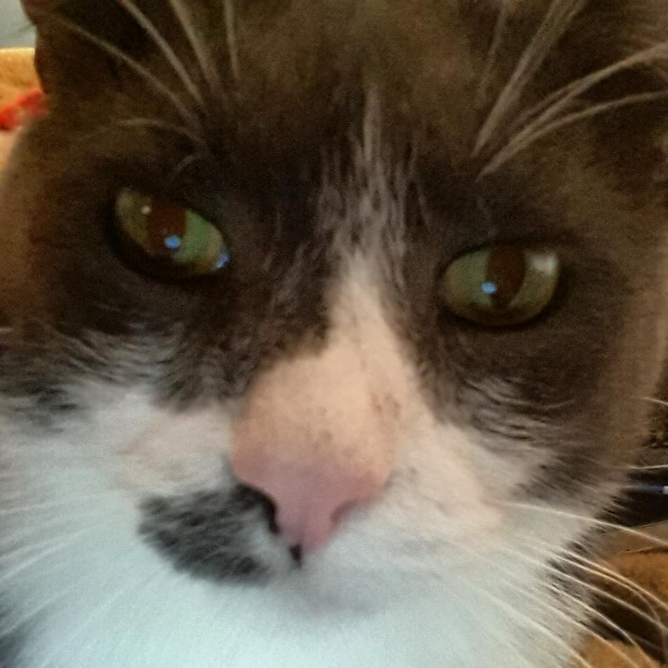 Ready for his close-up.