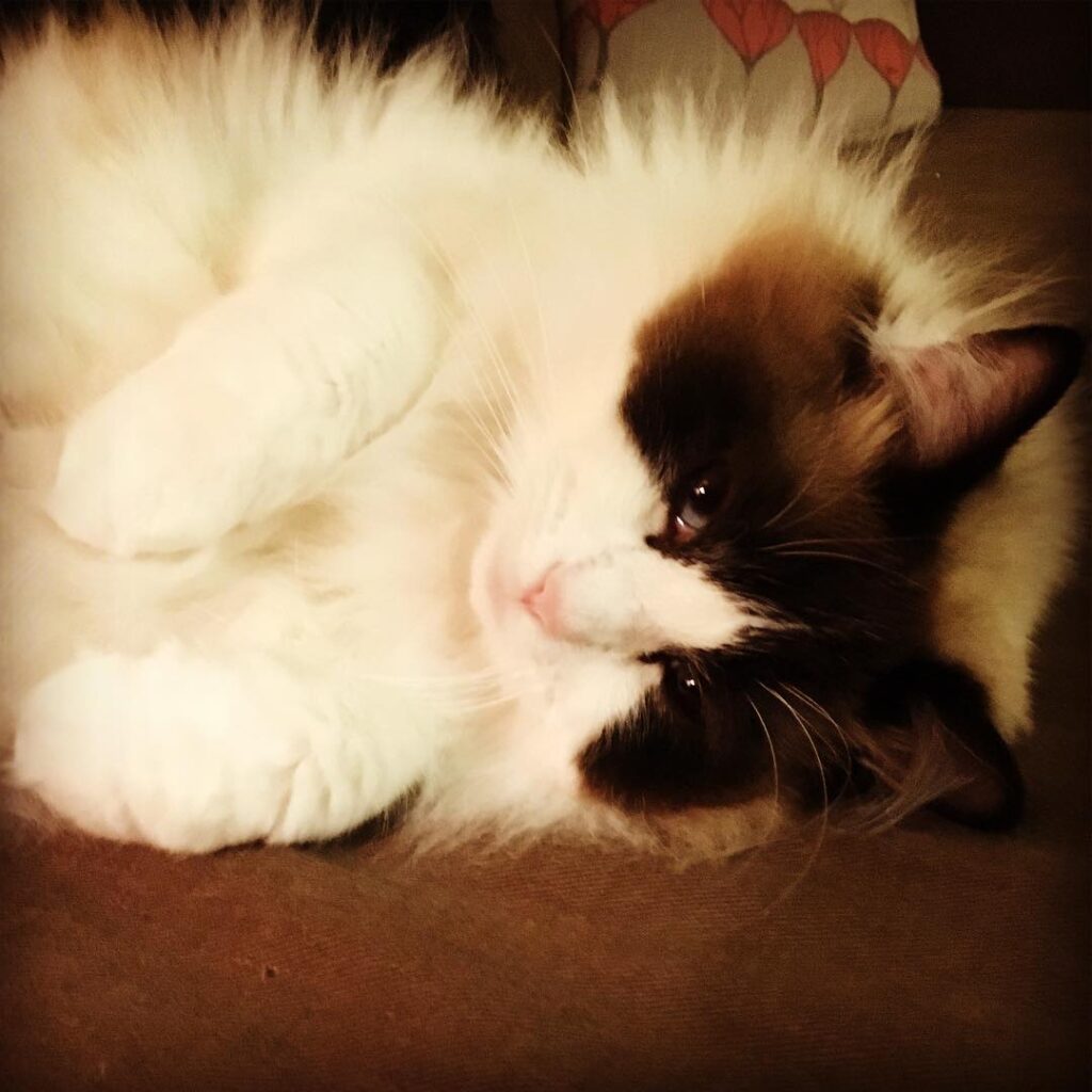 Saturday night chillin’