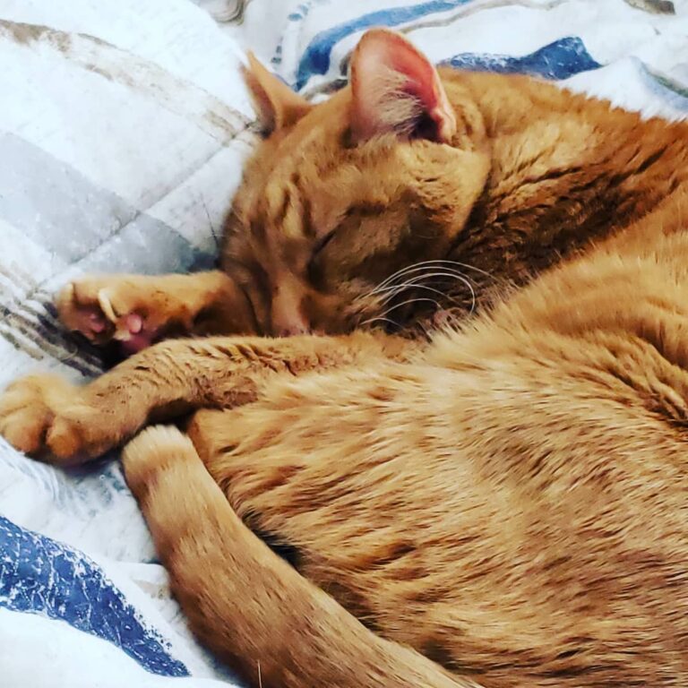 Saturday vibes.