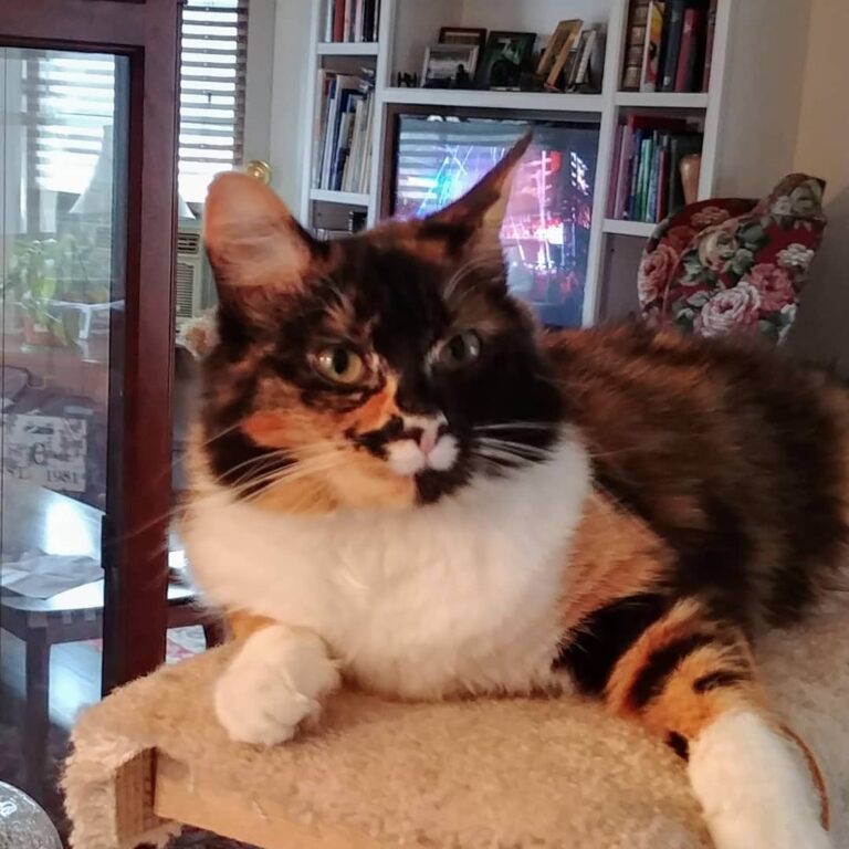 Saturday with Scarlett