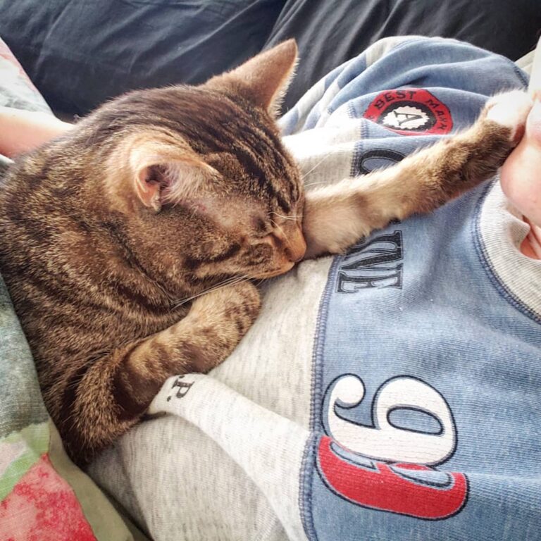 Shhhhhhh…no talk, just naps . . . . . . . . . . .