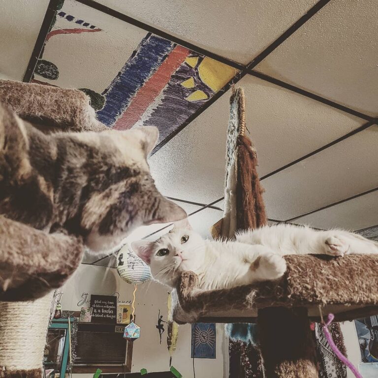 Sisterly love (meaning there was a slap fight immediately following