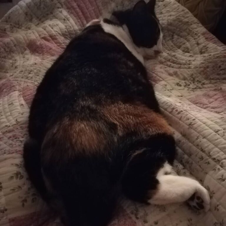 So sleepy.