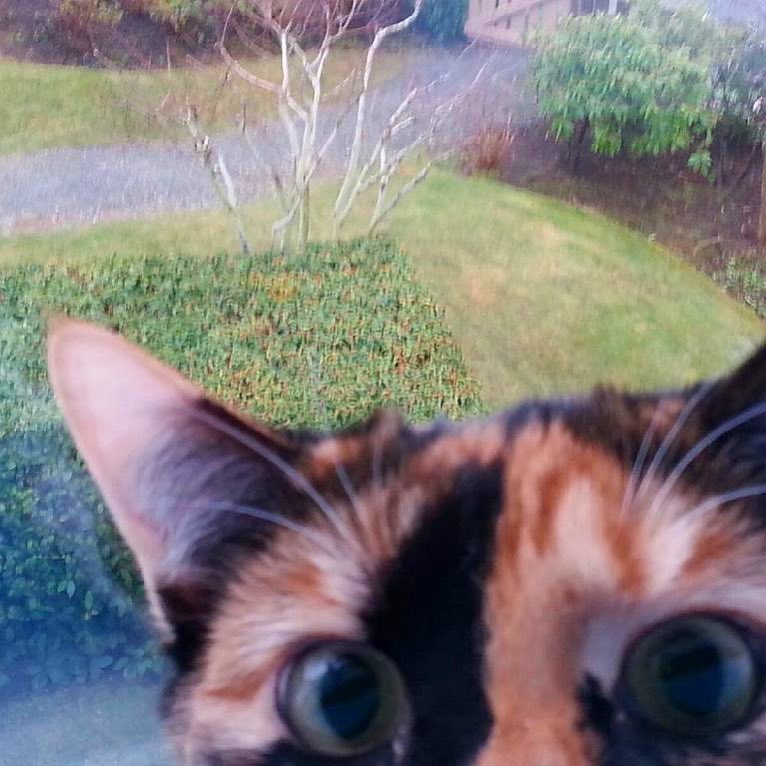 Someone is watching