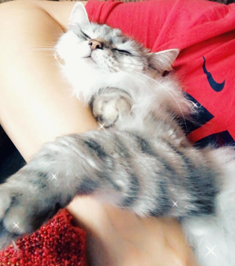 Such a spoiled little !