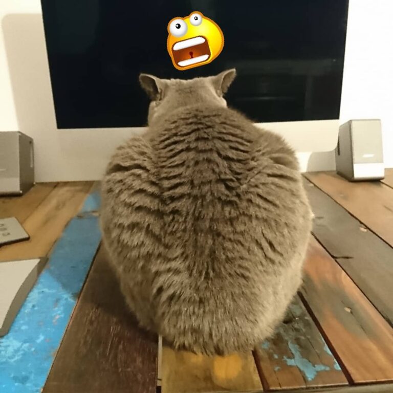 T’es qui toi ??
