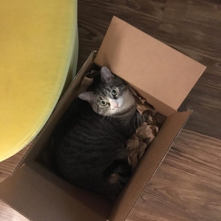 Thank you I love my new bed.