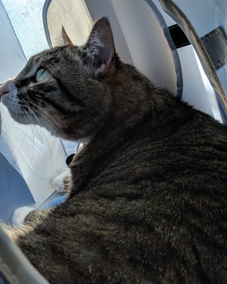 That profile tho