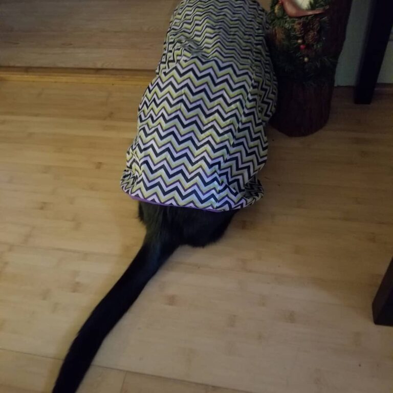 The look of defeat