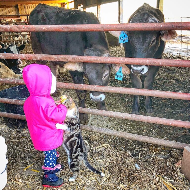 There’s no other way I’d rather raise this little girl. She insisted