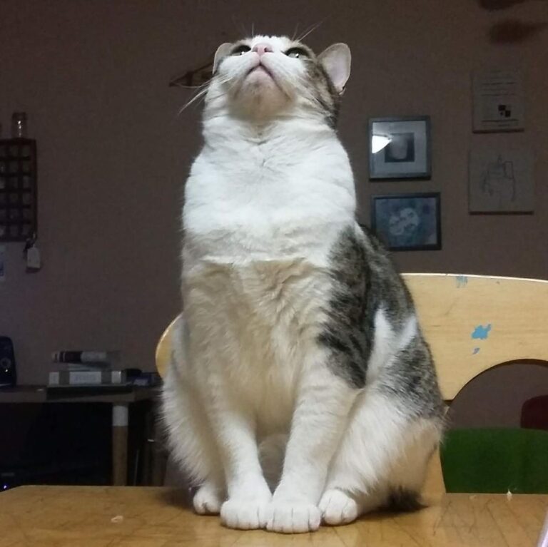 There’s still a bug up there….maybe I should do something? She’s