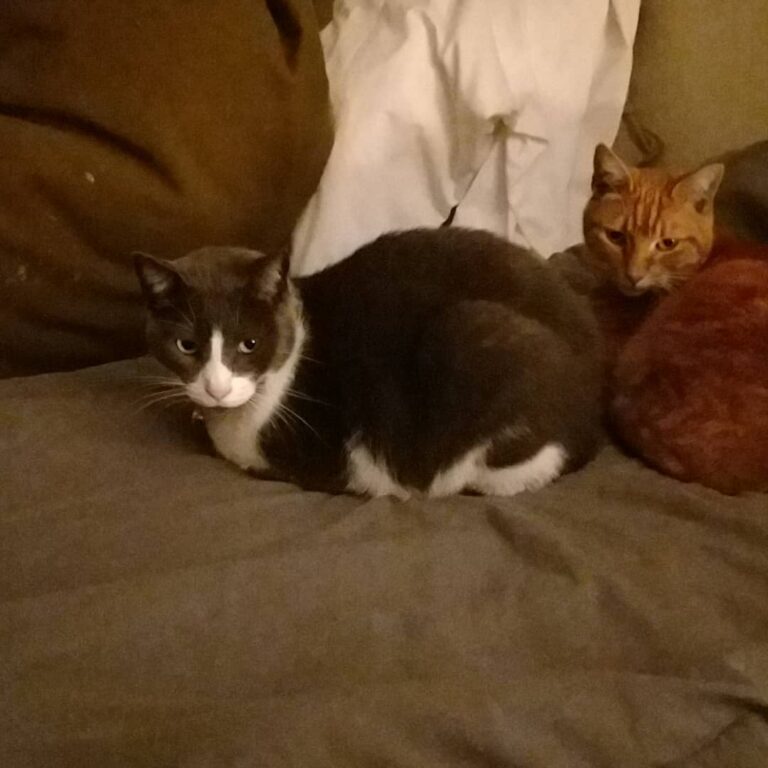 These 2 clowns keep me warm all night!!