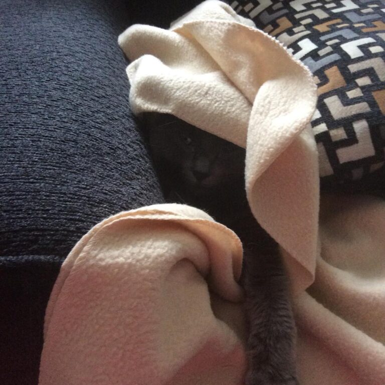 This is my cozy spot!