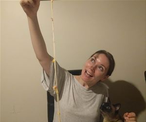 FunnyCatSite