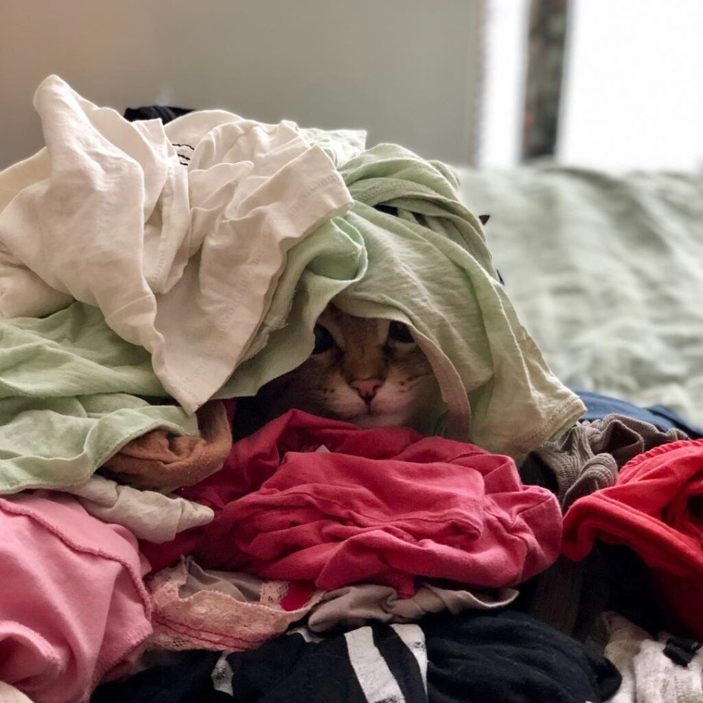 Tidying up.
