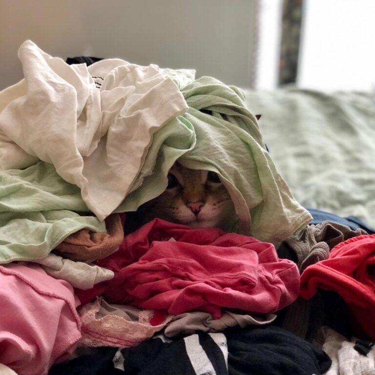 Tidying up.