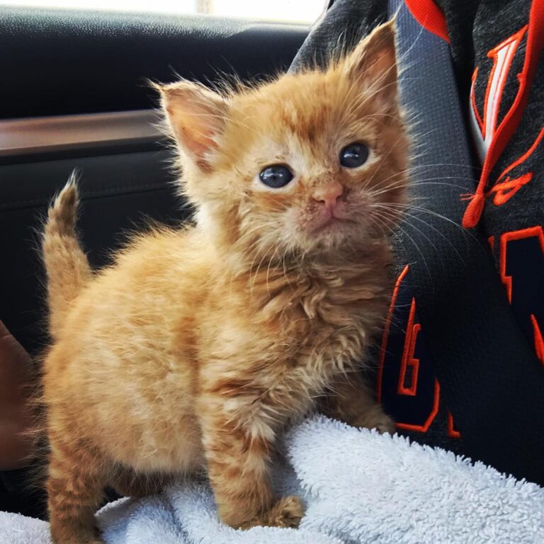 Today Kenneth and I became foster parents. This is our first foster