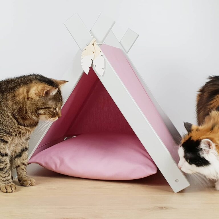 Unsere beiden Stubentiger beschnuppern gerade das neue Katzenzelt