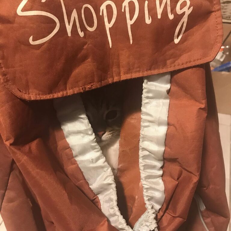 Voilà la petite qui s’y met maintenant… prête à aller aux courses…