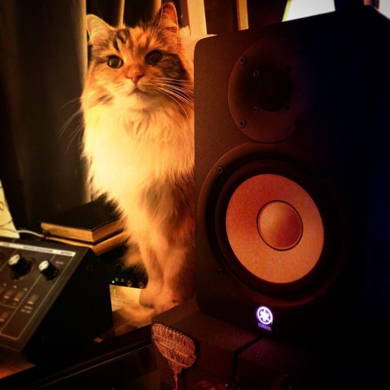 What is you working on guys? It soundsss gooood . . New Music