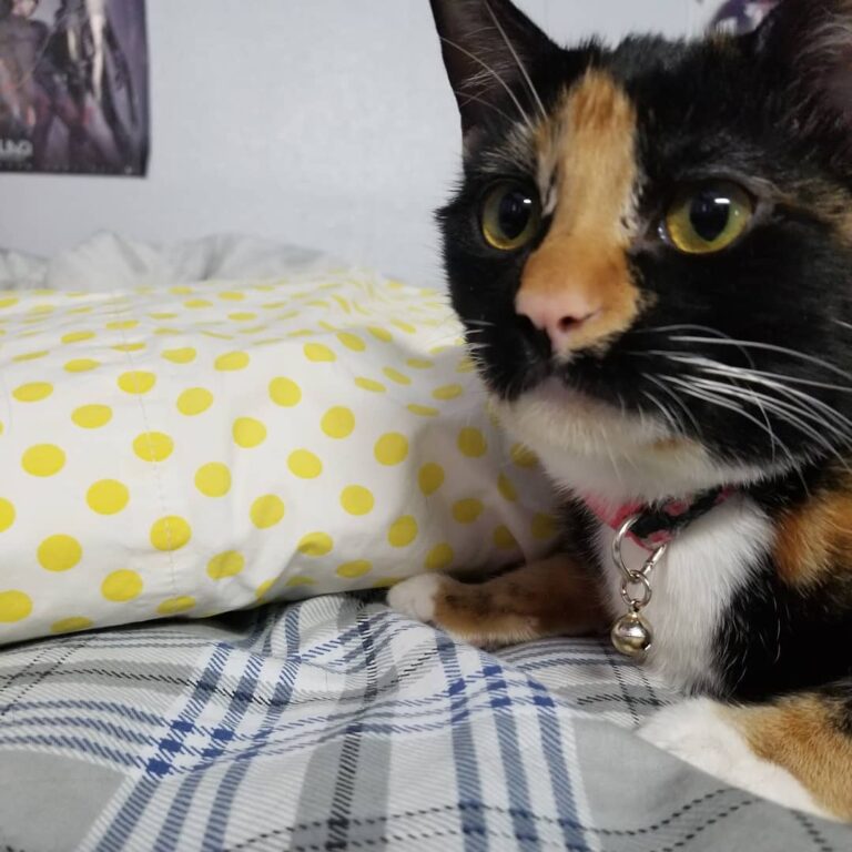 What’s up? ıng