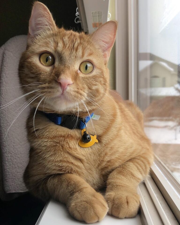 When you see a cutie walking by