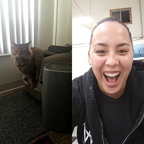 When you’re facetiming your sister and she pans over to the cat