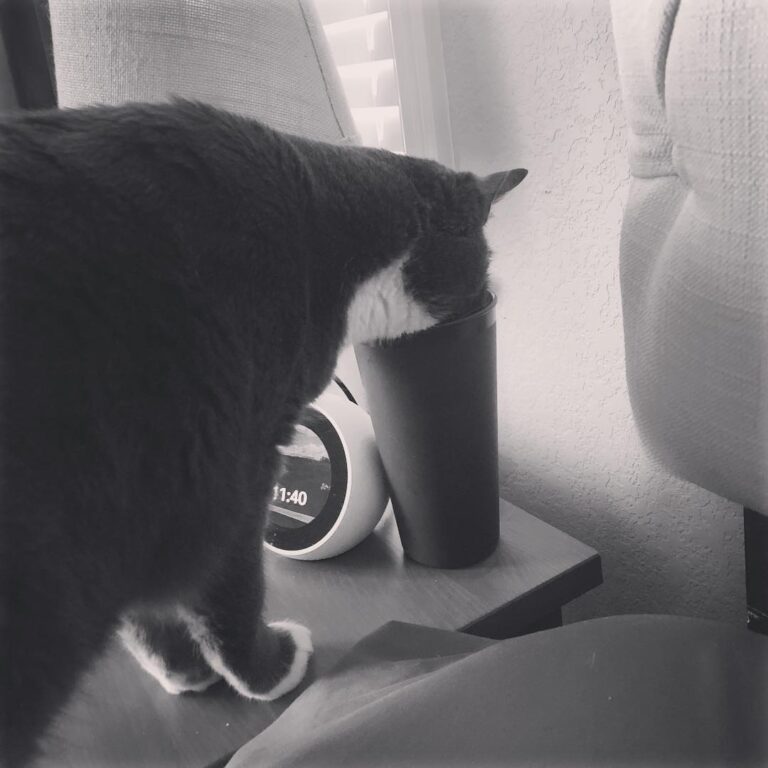 Why would I drink my own water when yours is SO MUCH BETTER?!