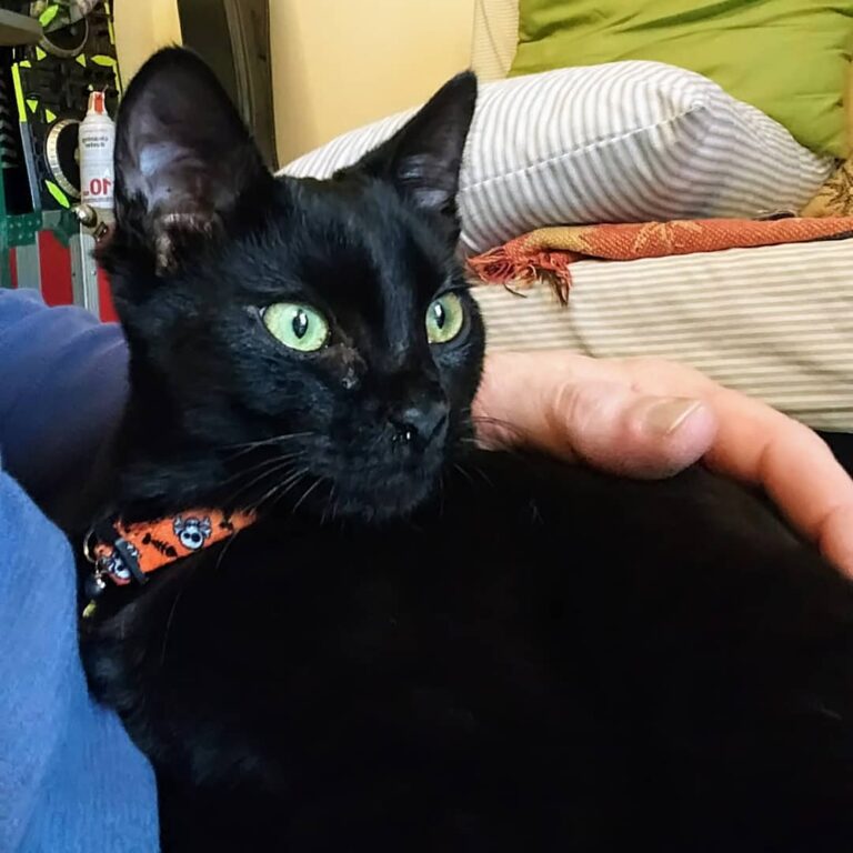 Winston on Dad’s lap for the first time.