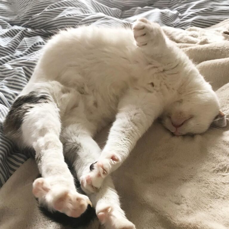 Yoga . . . .