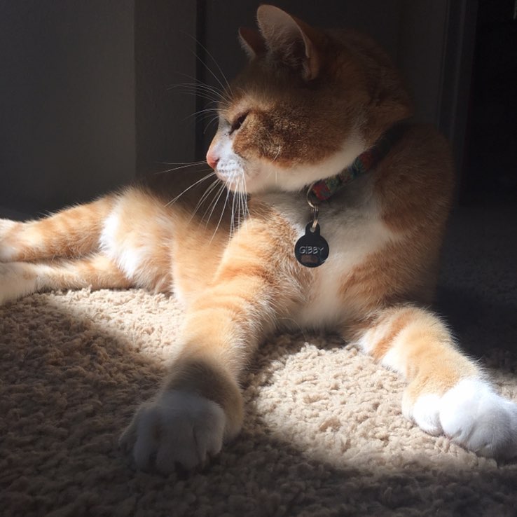 Enjoying the sun!