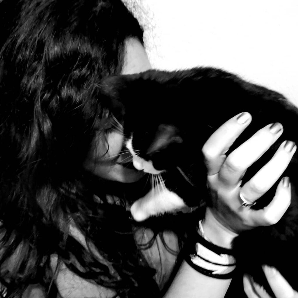 Cute Cat Moment