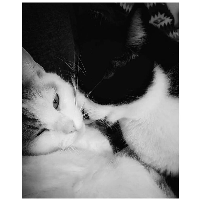 • slurp! •