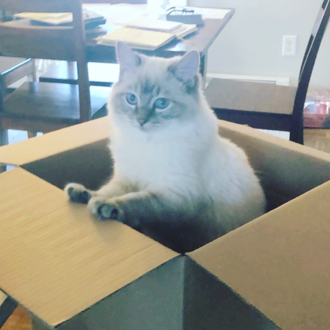 A new toy!