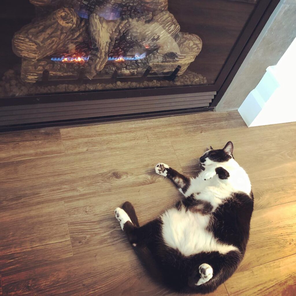 A year later and the fireplace finally works! Someone is enjoying the