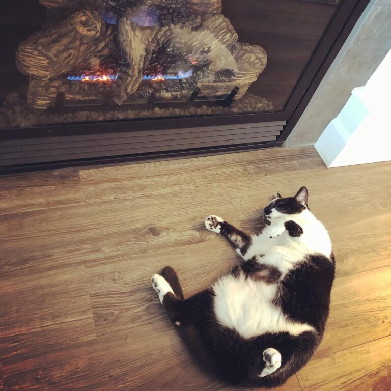 A year later and the fireplace finally works! Someone is enjoying the